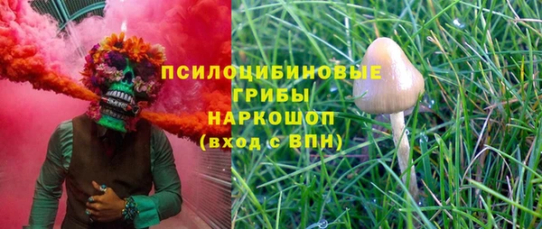 молекула духа Володарск