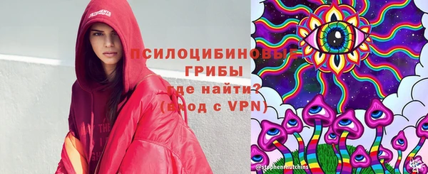 молекула духа Володарск