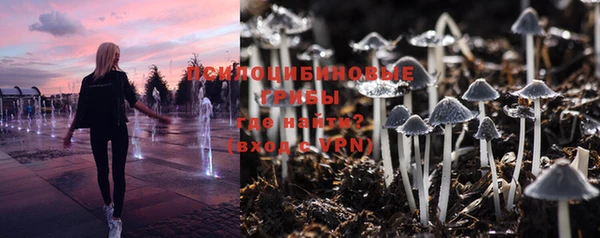дживик Волосово