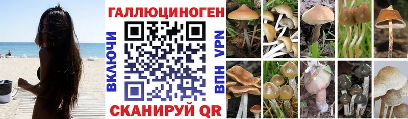 Псилоцибиновые грибы MAGIC MUSHROOMS  Ефремов 