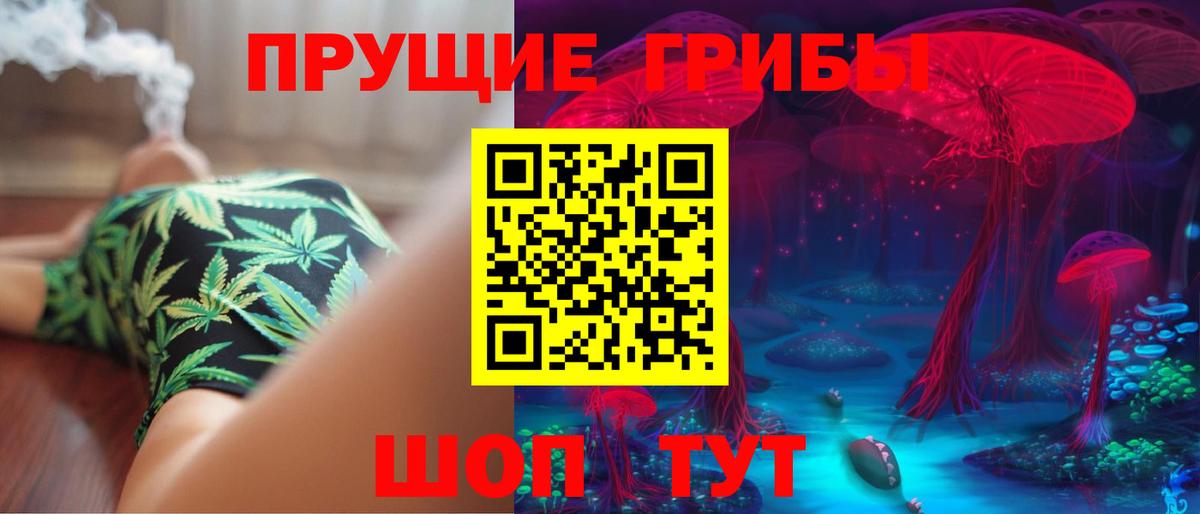 Галлюциногенные грибы ЛСД  Вход с VPN  Ефремов  Псилоцибиновые грибы Psilocybine cubensis 