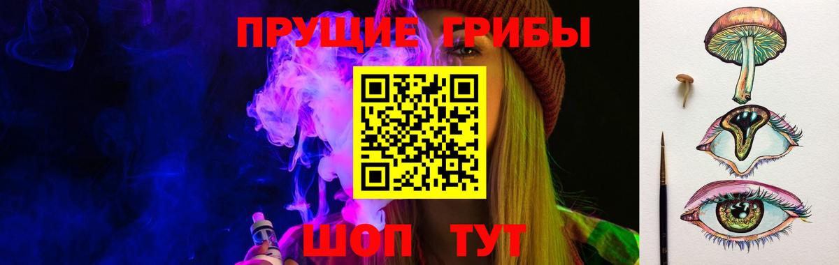 Галлюциногенные грибы Cubensis Ефремов